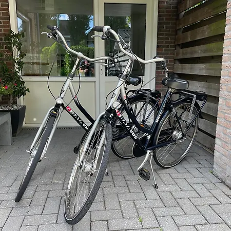 Boetje 51 Nocleg ze śniadaniem Den Burg