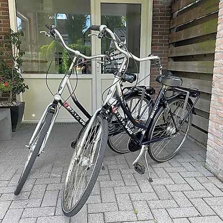 Boetje 51 3*